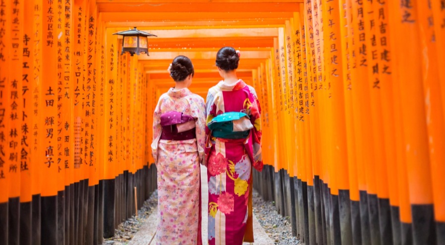 Sakura & Culture : Voyage au cœur du Japon traditionnel