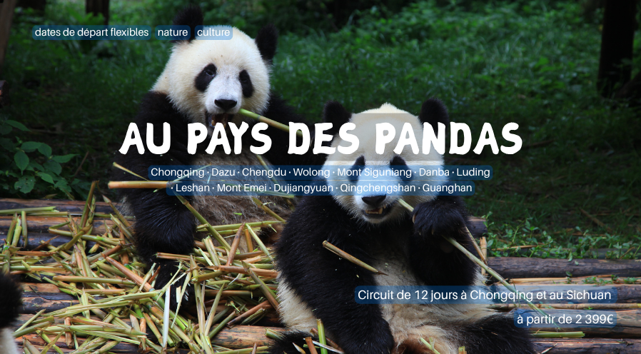 Au pays des pandas