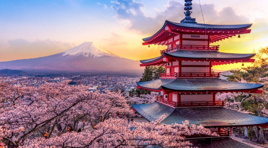 Sakura & Culture : Voyage au cœur du Japon traditionnel