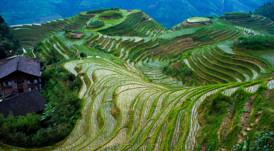 Découverte du Sud de la Chine