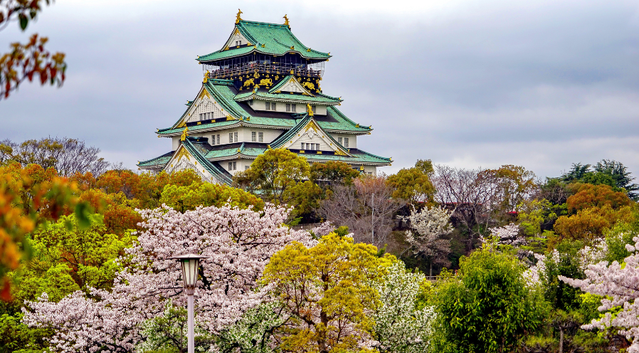 Sakura & Culture : Voyage au cœur du Japon traditionnel