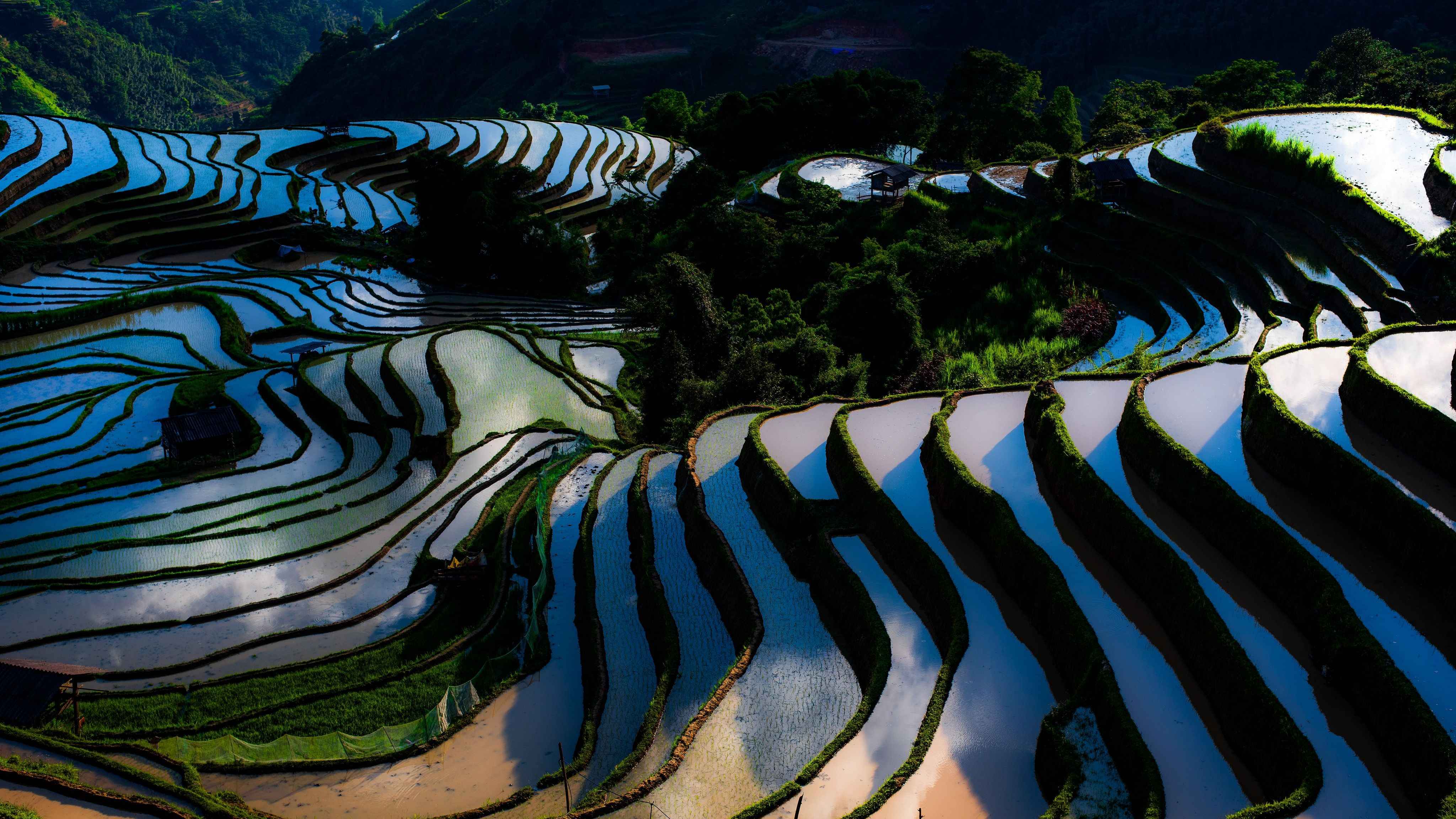MERVEILLEUX YUNNAN