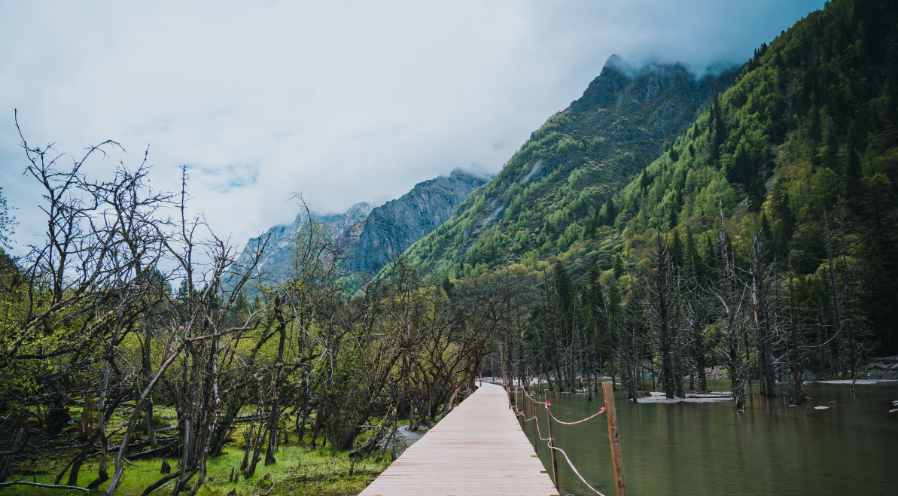 Trésors du Sichuan et du Tibet oriental
