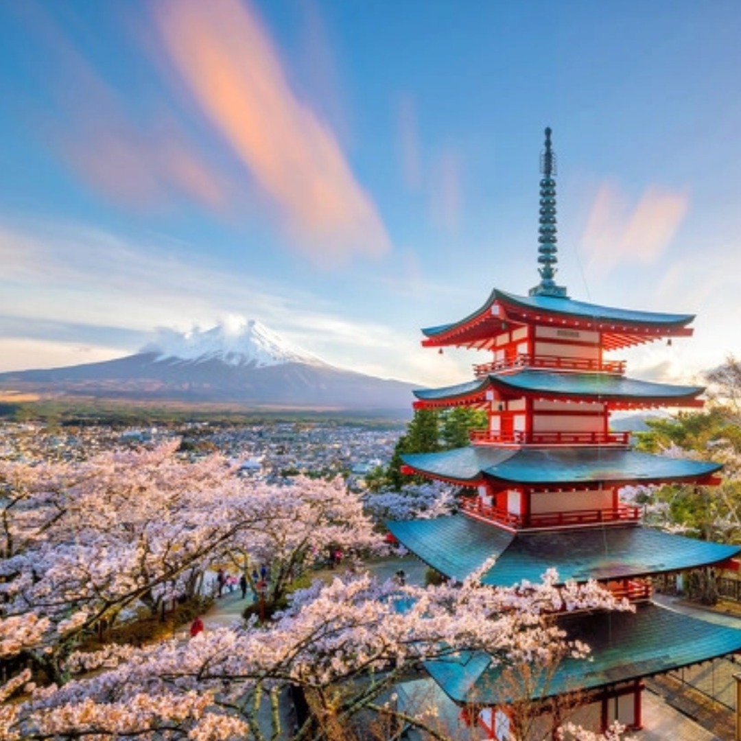 Sakura & Culture : Voyage au cœur du Japon traditionnel