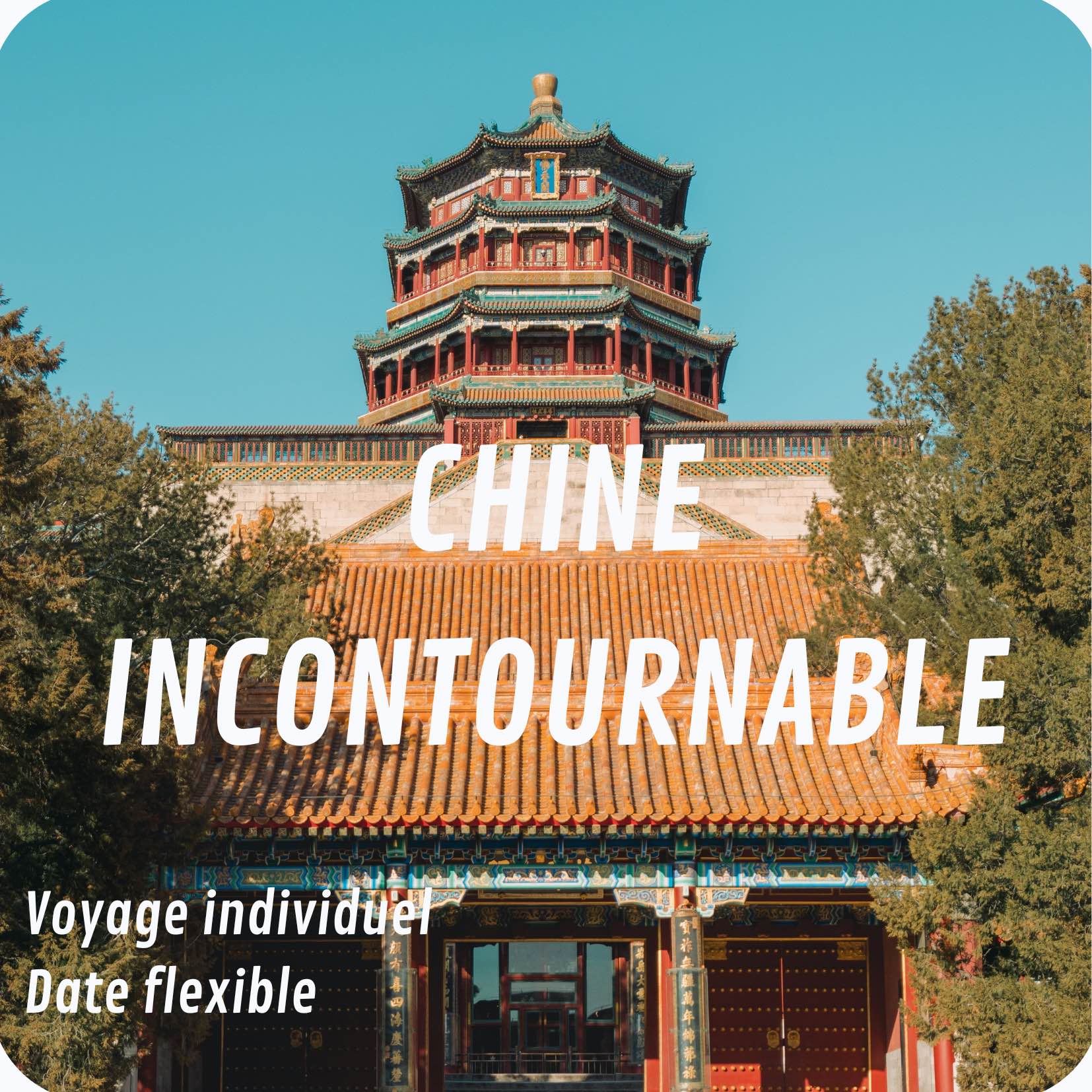 CHINE INCONTOURNABLE