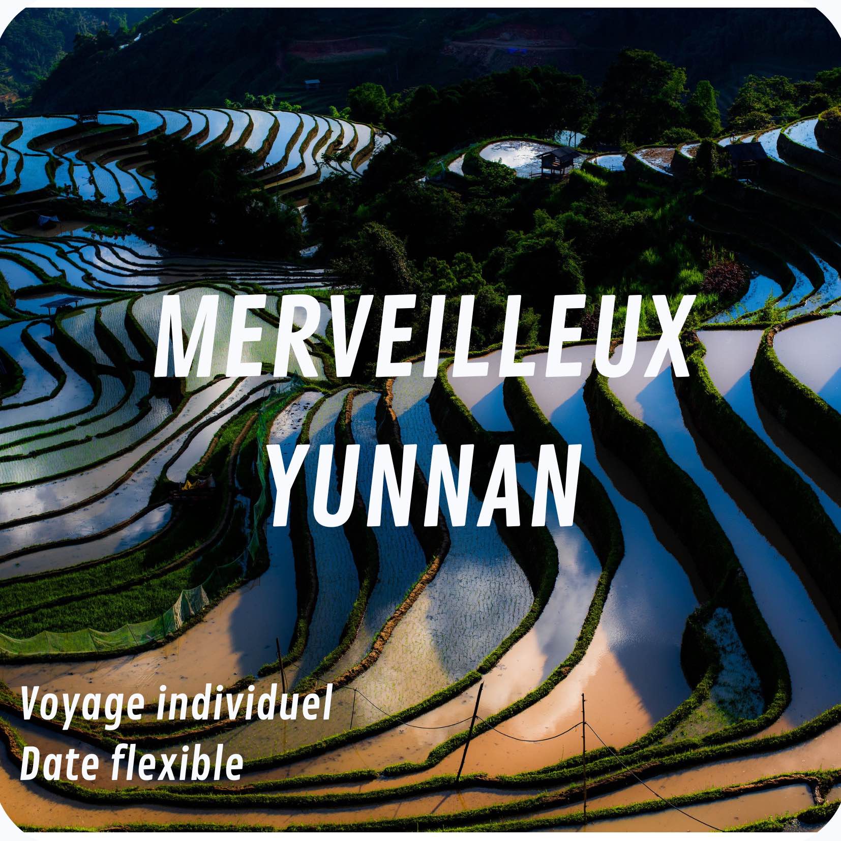 MERVEILLEUX YUNNAN
